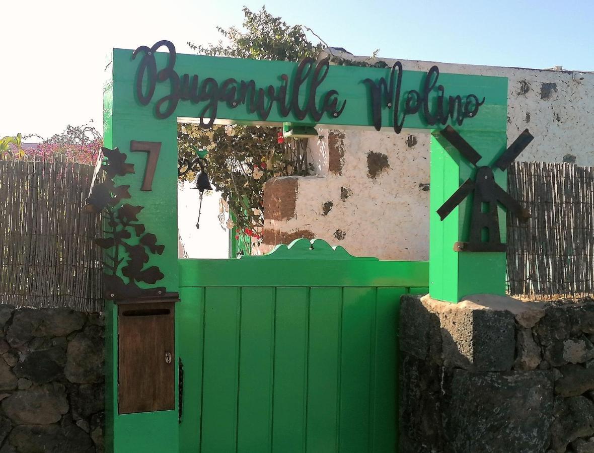 Buganvilla Molino *