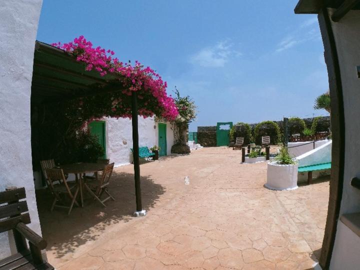 Buganvilla Molino *